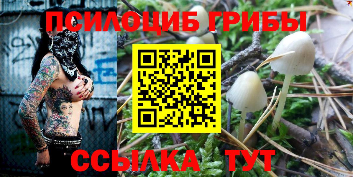 Галлюциногенные грибы GOLDEN TEACHER  Галлюциногенные грибы GOLDEN TEACHER  Вход с VPN  Лабинск 