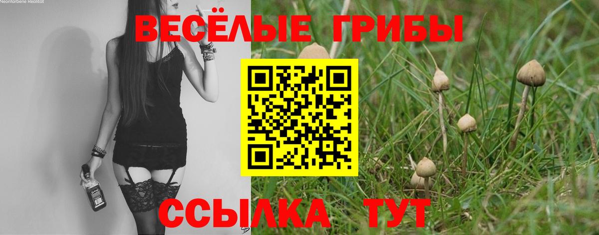 Псилоцибиновые грибы GOLDEN TEACHER Лабинск